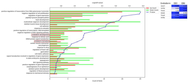 RNA sequencing 데이터를 토대로 한 Gene Ontology (GO) 분석