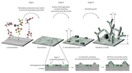 리튬금속 음극의 문제점인 수지상 성장 및 전극 부피 변화의 모식도[2]