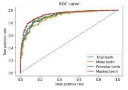 Receiver operating characteristic (ROC) curve according to tooth area segmentation and type of tooth (premolar and molar)