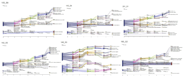 Sankey diagram for the distribution of gut virome from from crassphage positive (105, 143, 201) and negative(142, 148, 190) human feces