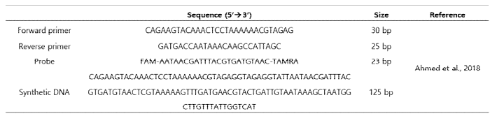 Sequence information of primers, probe and synthetic DNA fragment of crAssphage