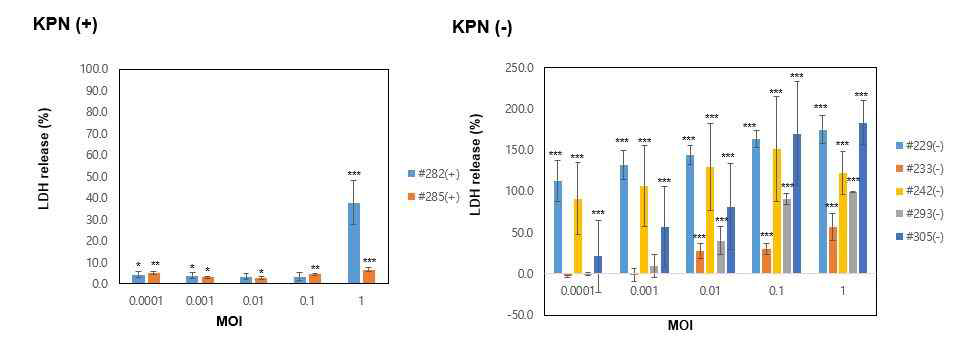 HepG2 cell, Klebsiella pneumoniae 감염 이후 LDH acitivity 확인