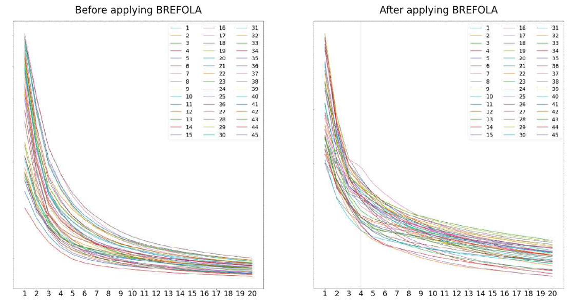 Comparison before and after application of BREFOLA