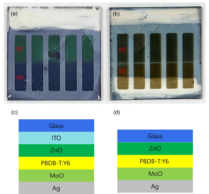 Ag/MoO3/PBDB-T:Y6/ZnO/ITO/Glass 구조의 태양전지 사진. 제작에 사용된 태양 전지 흡수층 용액의 농도와 두께는 (a) 15 mg/ml, 120 nm (b) 3.25 mg/ml, 30 nm. 색상을 보이는 각 영역의 구조 모식도를 (c)와 (d)로 표현