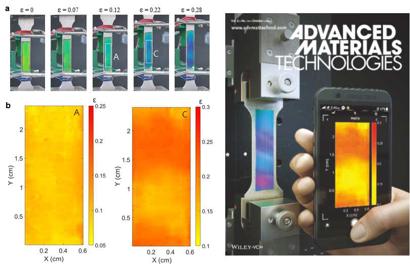 Fabry-Perot mechanochromic sensor를 활용한 금속의 full-field strain mapping