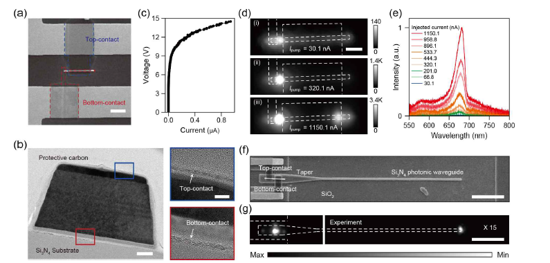 All-graphene-contact on-chip 전사 가능한 전류주입형 전기구동 반도체 나노선 LED. (a) 제작된 소자의 SEM 이미지. (b) 제작된 소자의 단면 TEM 이미지 (왼쪽) 및 확대된 TEM 이미지 (c) 제작된 소자에서 측정된 I-V 특성곡선. (d) 서로 다른 주입전류에서 관측된 소자의 Electroluminescence 이미지. (e) 주입전류의 크기에 따른 소 자의 Electroluminescence 스펙트럼. (f) 수동형 SiN 광도파로 위에 전사 및 제작된 all-graphene-contact 전기구 동 나노선 LED. (f) SiN 광도파로와 통합된 소자의 Electroluminescence 이미지. [Nano Lett.. 22(3) , 1316-1323 (2022)]