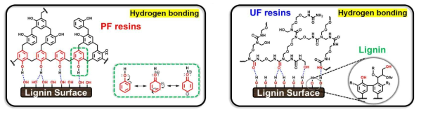 Schematic diagram of the proposed mechanism of adhesion between lignin with PF and UF resins