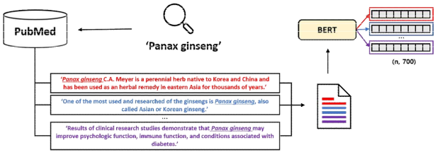 BERT를 활용한 생물학 문헌 정보 기반 벡터 생성과정