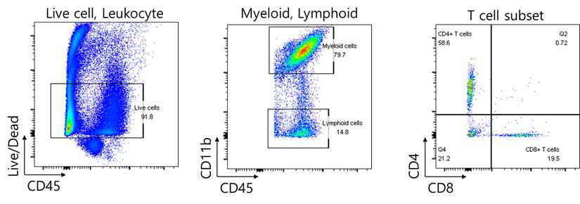 유세포분석기를 통한 면역세포의 구분