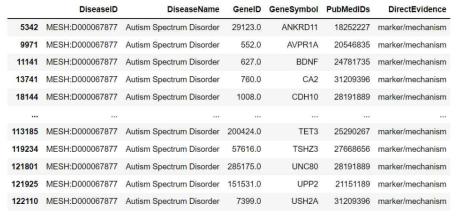 CTD DB로부터 추출된 자폐 관련 유전자 정보의 예