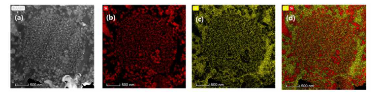(a) FE-STEM image of FIB-cut slab from a single pSi-17r/C1 particle (carbon 59.7%), elemental mapping images of (b) silicon, (c) carbon, and (d) both carbon and silicon on image (a).