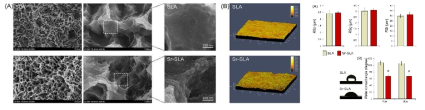 FE-SEM, CLSM images, surface roughness and water contact angles of SLA & Sr-incorporated SLA (Sr-SLA) samples