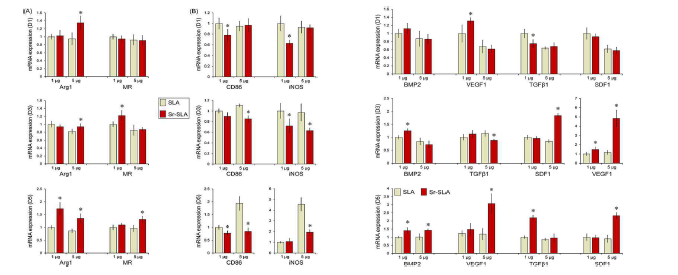 Real-time PCR analysis results showing M1 & M2 phenotype genes (left) and growth factors (right)