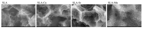 FE-SEM images of investigated surface