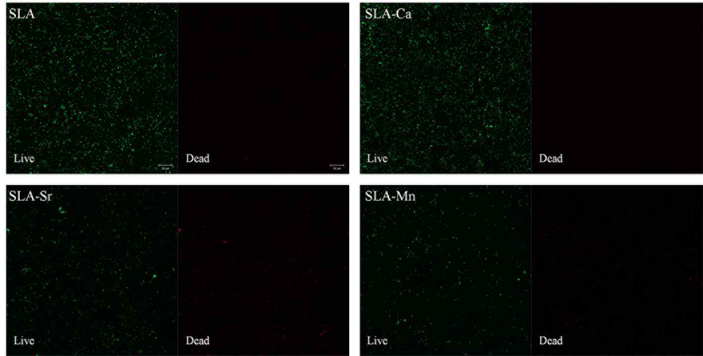 CLSM images showing live/dead cells(S.mutans) on investigated surfaces at 48 h