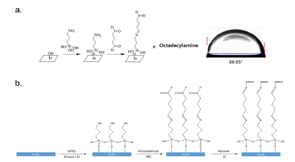 산화물 박막과 aptamer 간 자기조립결합 다중층 개요