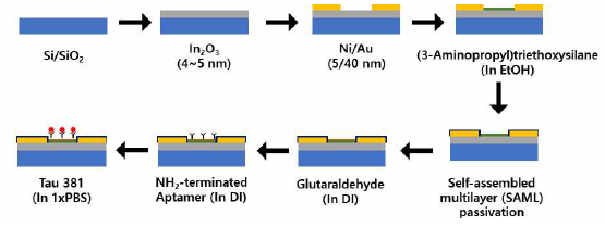 전극보호 및 Tau-aptamer를 적용한 전해질 기반 TFT 제조