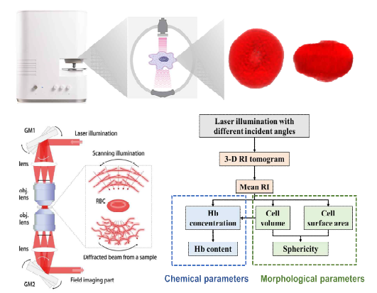 3D refractive index tomography 수행 절차