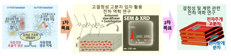 연구 개관 모식도