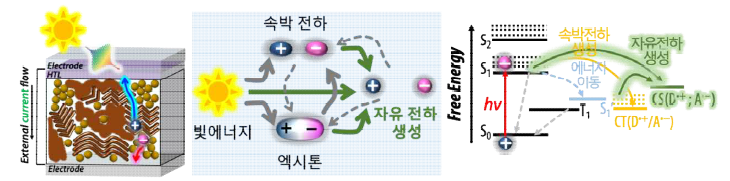 유기소재 기반 태양광에너지 변환용 광전소자의 구조적 복잡성 및 여기 상태 역학의 난이성 도식도