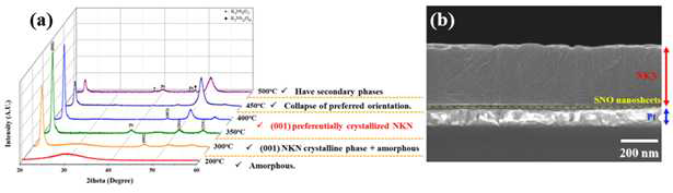 SNO seed layer 위에 성장된 NKN 박막의 증착 온도 별 (a) XRD patterns, (b) SEM image를 통해 저온에서 높은 결정성을 갖는 NKN 박막이 형성됨을 확인.