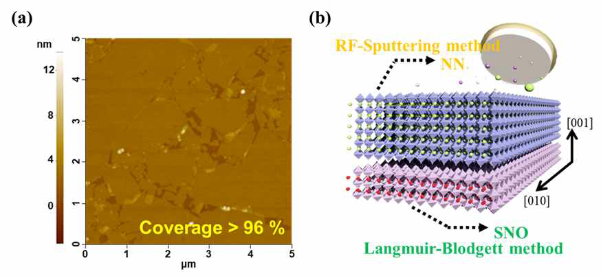 (a) Si 기판 위에 증착된 SNO 나노시트 mono layer의 AFM image, (b) SNO seed layer 위에 sputtering을 통해 증착된 NN 박막 모식도.