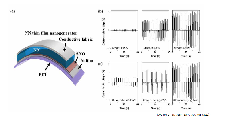 (a) Ni 기판 위에 증착된 NN 압전 에너지 하베스터 소자의 모식도, NN 압전 에 너지 하베스터 소자의 (b) strain, (c) strain rate에 따른 출력 전압 특성.