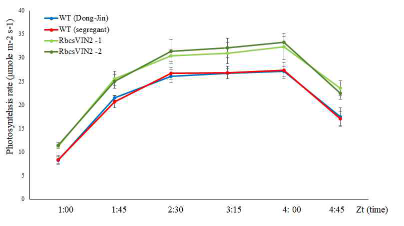 광합성 효율 측정결과. 야생형(모본인 동진과 형질전환체 분리 야생형) 및 pRbcS-OsVIN2 라인 비교