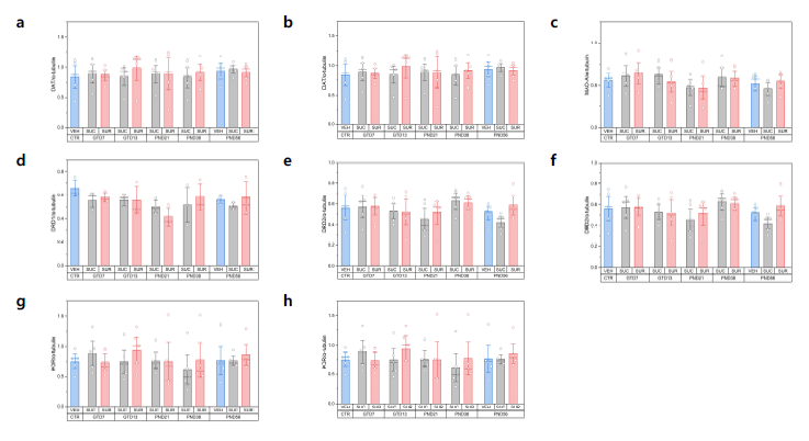 Protein expressions of dopamine system related factors and opioid receptors in the striatum. a, TH; b, DAT; c, MAO-A; d, DRD1; e, DRD2; f,MOR; g, DOR; h, KOR