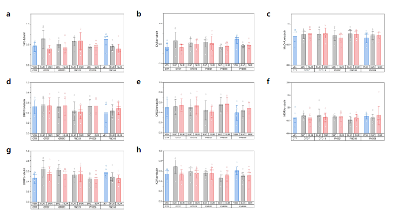 Protein expressions of dopamine system related factors and opioid receptors in the ventral tegmental area. a, TH; b, DAT; c, MAO-A; d, DRD1; e, DRD2; f,MOR; g, DOR; h, KOR