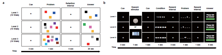 Experimental flow of visual workign memory and reward sensitivity tests a, Visual working memory test; b, Reward sensitivity test