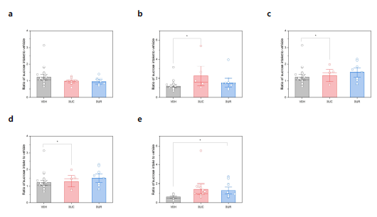 Alterations of sucrose preference induced by excessive sucrose (SUC) or sucralose (SUR) intakes a, GTD7; b, GTD13; c, PND21; d, PND38; e, PND56 * means that BF10 value is more than 3