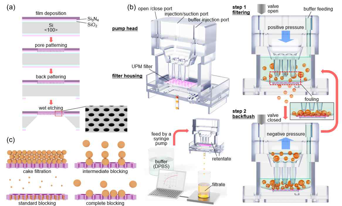 (a) 다공성 멤브레인 필터의 제작공정 모식도, (b) backflush 적용을 통해 오염을 최소화한 바이오 물질 필터링 공정 모식도, (c) 필터링 현상에서 네 가지 막힘 법칙 원리도