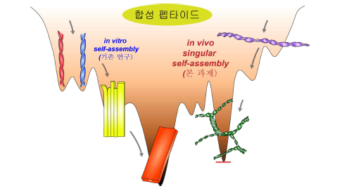 시험관 조건(in vitro) vs. 생체 조건(in vivo)에서 의 자가조립
