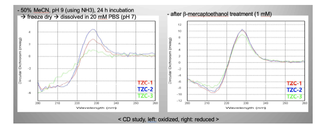 CD spectroscopy를 이용한 산화-환원적 환경에서 펩타이드 자가조립 빌딩블록의 구조 적 변화의 증명.