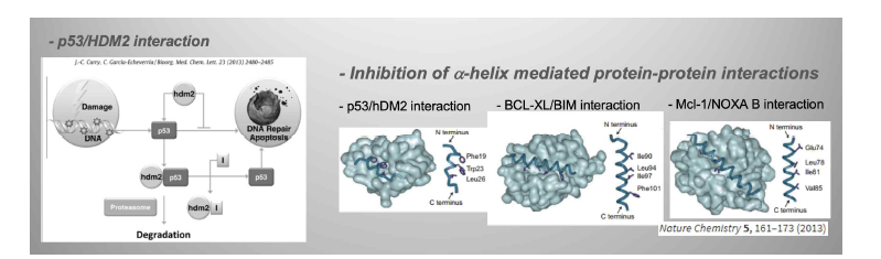 산화-환원 감응성 alpha-helix를 이용한 p53-hDM2 interaction의 조절 및 저해.