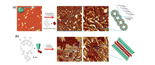 약물 encapsulation에 의한 nano-morphological transformation.