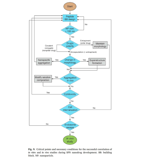 In vivo에서 작동가능한 펩타이드 어셈블리의 체계적 개발에 대한 flow chart.