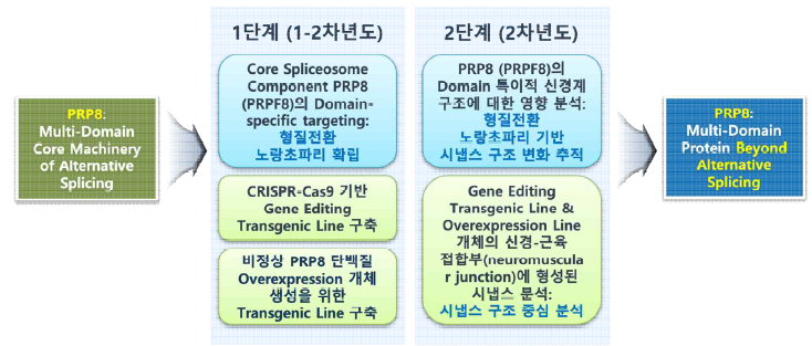 연구의 최종 및 단계별 목표