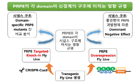 연구추진체계