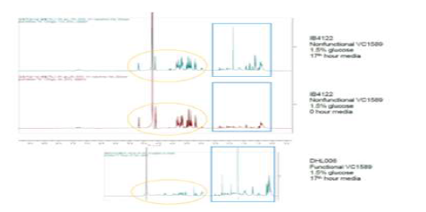 Glucose가 추가된 배지에서 콜레라균의 대사체 분석 (NMR 분석). 배양에 추가된 glucose (노란 원)들이 시간이 지나 대사되면서 균주와 배양 조건에 따라 다른 metabolite (파란 box)들이 생성됨