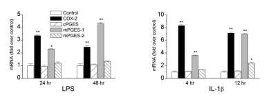 (Sang, Nan, et al. Journal of Neuroscience, 2005)