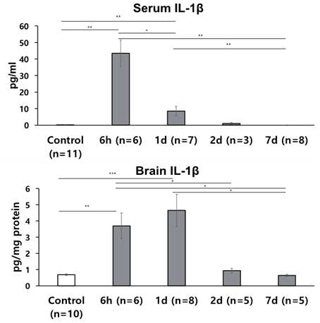 뇌염증 모델의 혈액(Serum)과 뇌조직(Brain)에서 인터류킨1 베타(IL-1β) 농도 변화