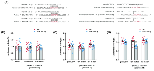 Luciferase reporter system을 이용한 후보 miRNA들의 TH 유전자 3‘UTR에 대한 binding activity 측정