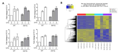 야생형과 bdr1 결손 변이 균주를 활용한 5-FC 반응 전사체 분석