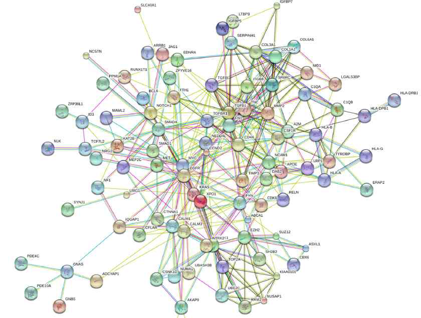신경교종-연관 유전자의 interaction network