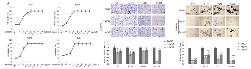 Glioma cell lines의 생존률, 침윤, 이동, 스페로이드 형성능 억제 유효 물질 선별시험 결과