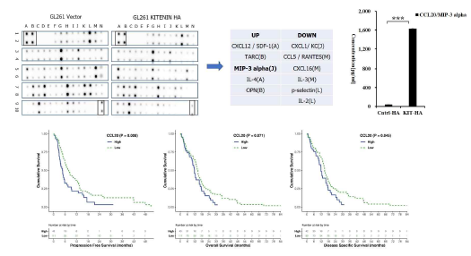 치료저항인자 발현 변화에 따른 cytokine array 및 Luminex assay를 통한 면역 억제 인자로서 CCL20 및 임상학적 의의 규명