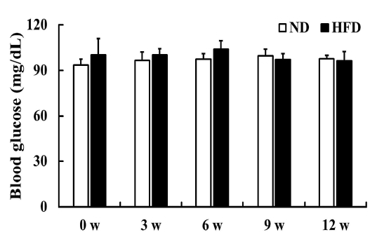 HFD 섭취에 의한 노화 Mongolian gerbil의 공복혈당 수치 변화