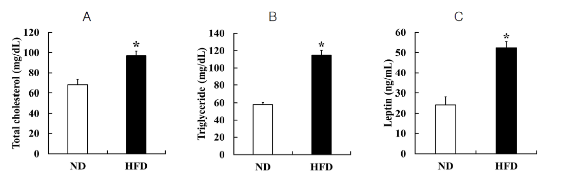 HFD 섭취 노화 Mongolian gerbil의 혈청학적 분석 결과. Total Cholesterol (A), triglyceride(B) and leptin (C)